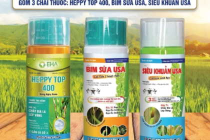 GIẢI PHÁP CHO CÂY ĂN QUẢ